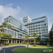 中国去泰国做试管价格