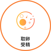 泰国试管婴儿取卵受精